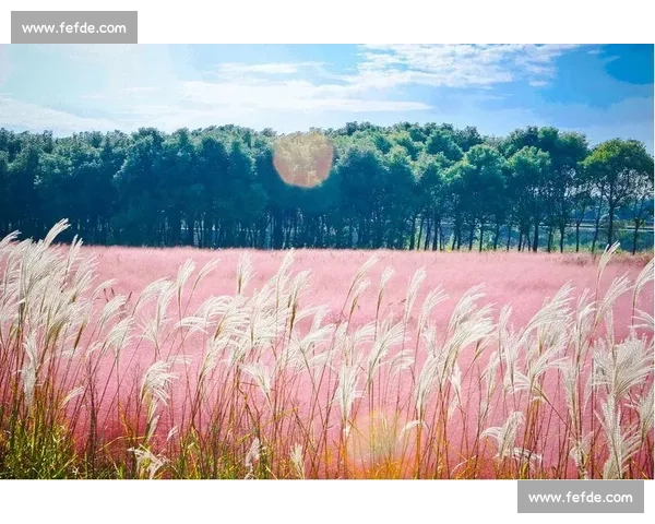 天然草编织的绿色生活与生态美学探索与可持续未来图景新篇章时代 天然草编织的绿色生活与生态美学探索与可持续未来图景新篇章时代
